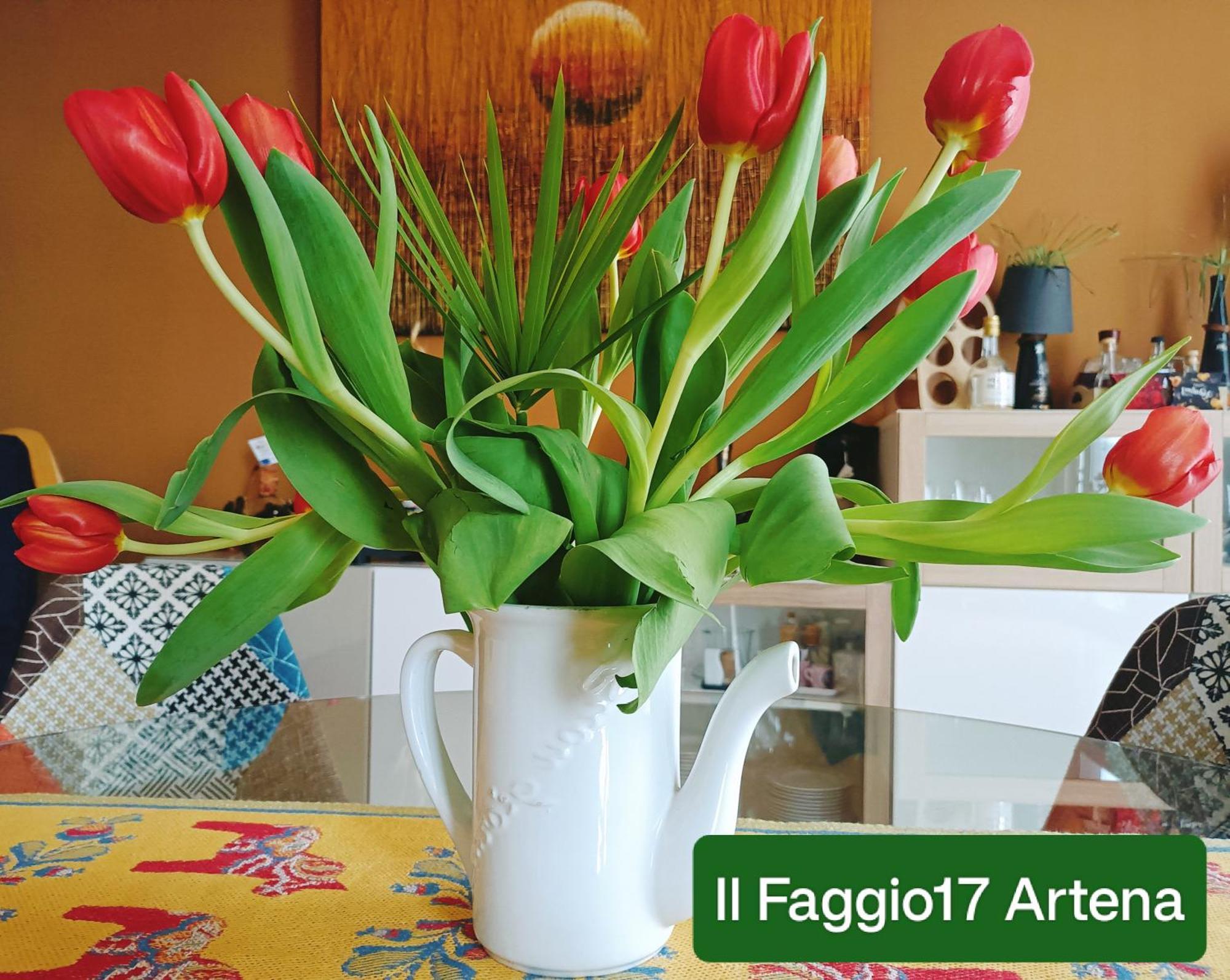 Il Faggio 17 B&B アルテーナ エクステリア 写真