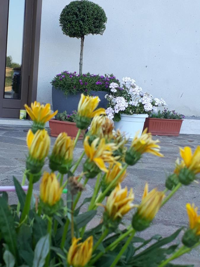 Il Faggio 17 B&B アルテーナ エクステリア 写真