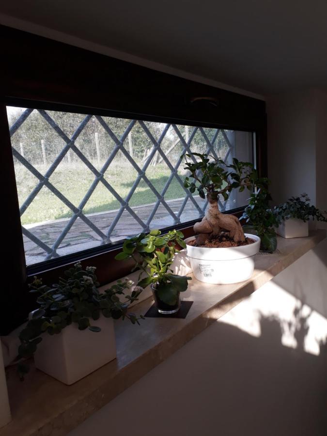 Il Faggio 17 B&B アルテーナ エクステリア 写真